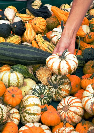 Someone holding a gourd