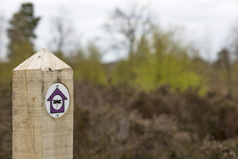 Wooden hiking trail marker in a forest