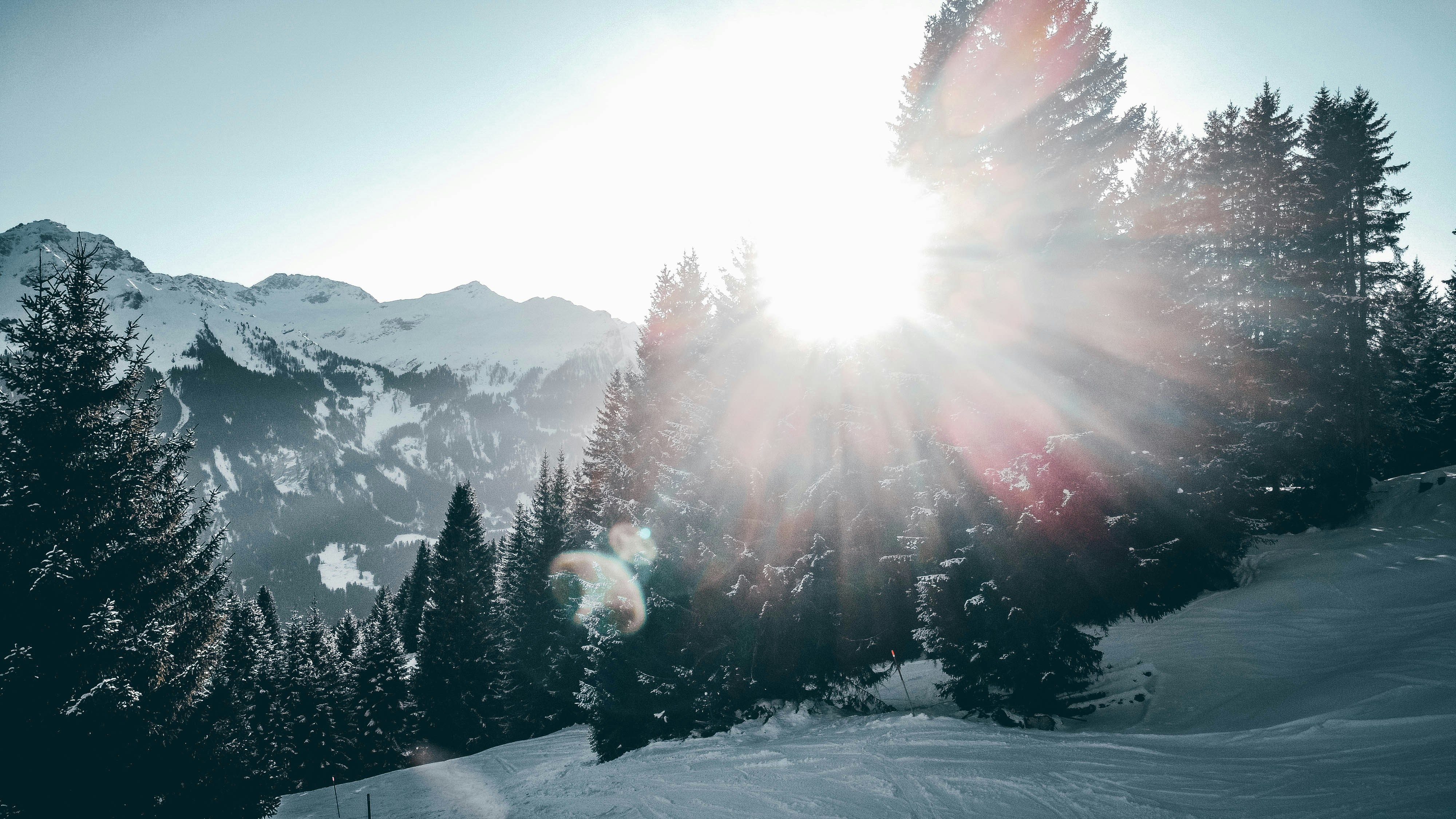 janosch-diggelmann-3pDS1VC2v9I-unsplash