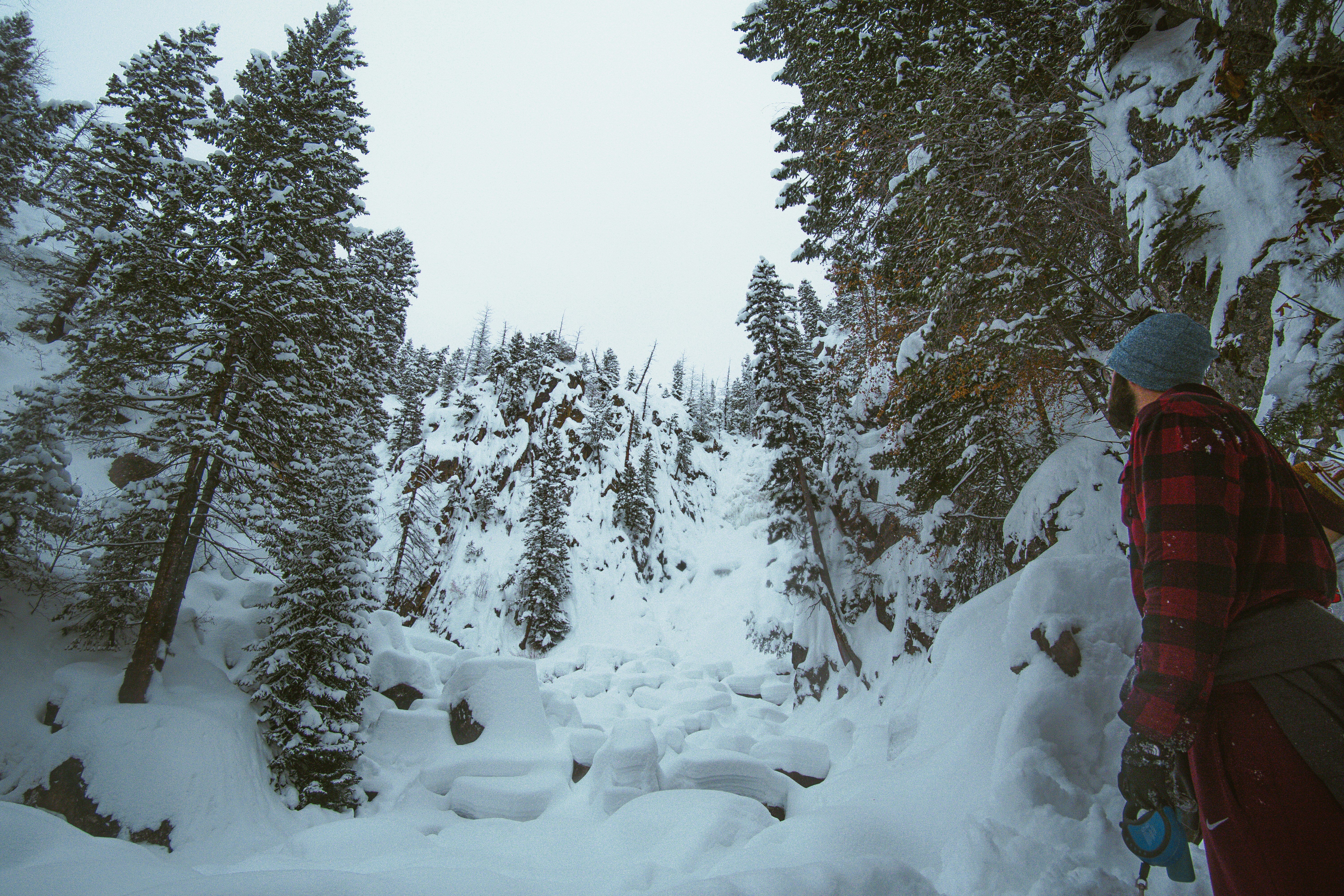 josh-hild-mVsgmImgq8c-unsplash