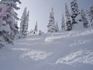 skier-deep-powder
